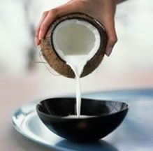 椰子油主要成份為65%的中鍵脂肪酸(MCFA)!